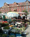 Markttag auf dem Bassinplatz, im Hintergrund Häuser "Am Bassin"